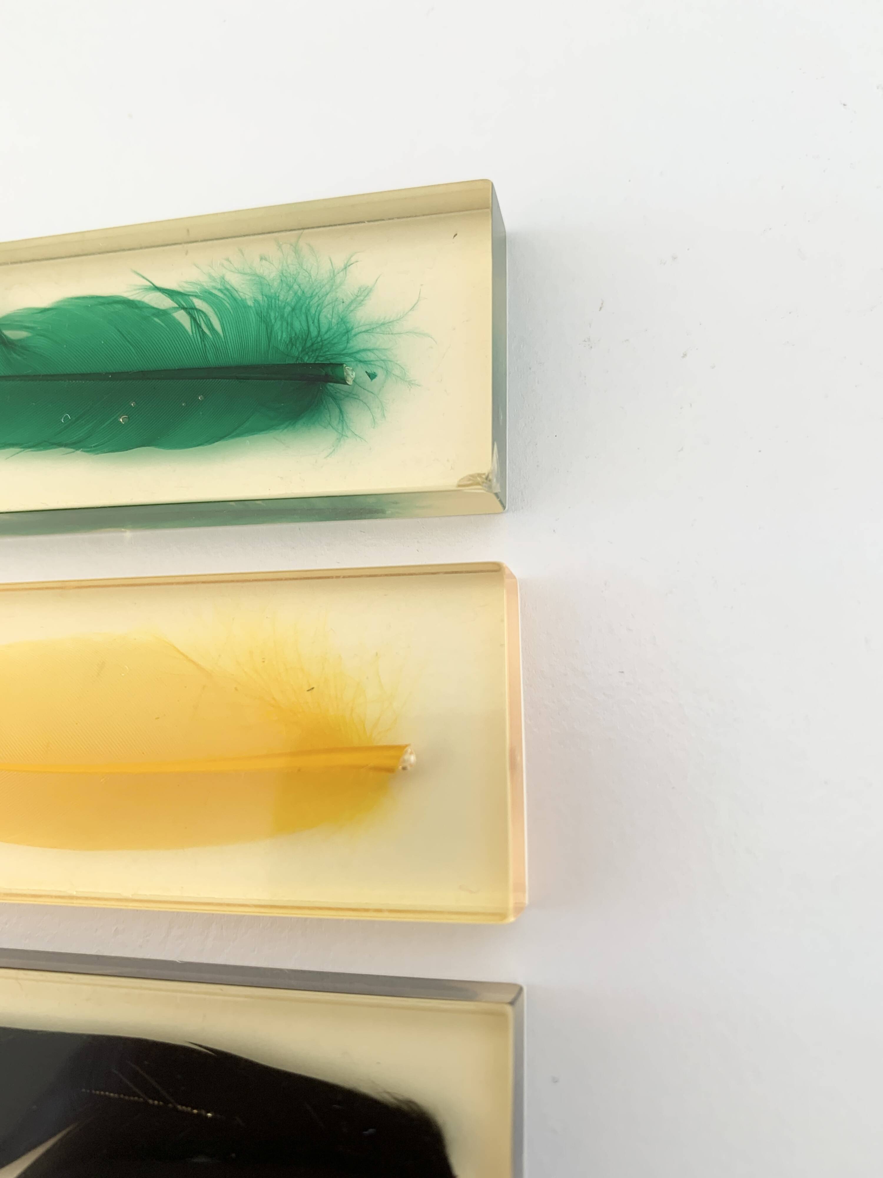Six feather-shaped knife rests in resin inclusion.