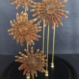 Cabinet of Curiosities globe with starfish heliaster kubiniji