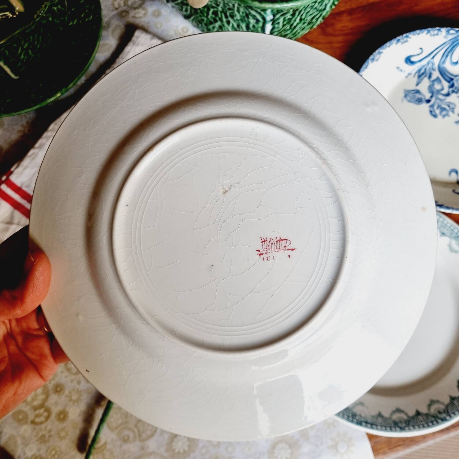 Lot de 6 assiettes plates terre de fer dépareillées