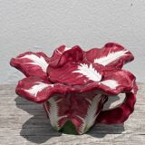 Ceramic teapot with cabbage slip