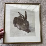 Dürer's hare illustration