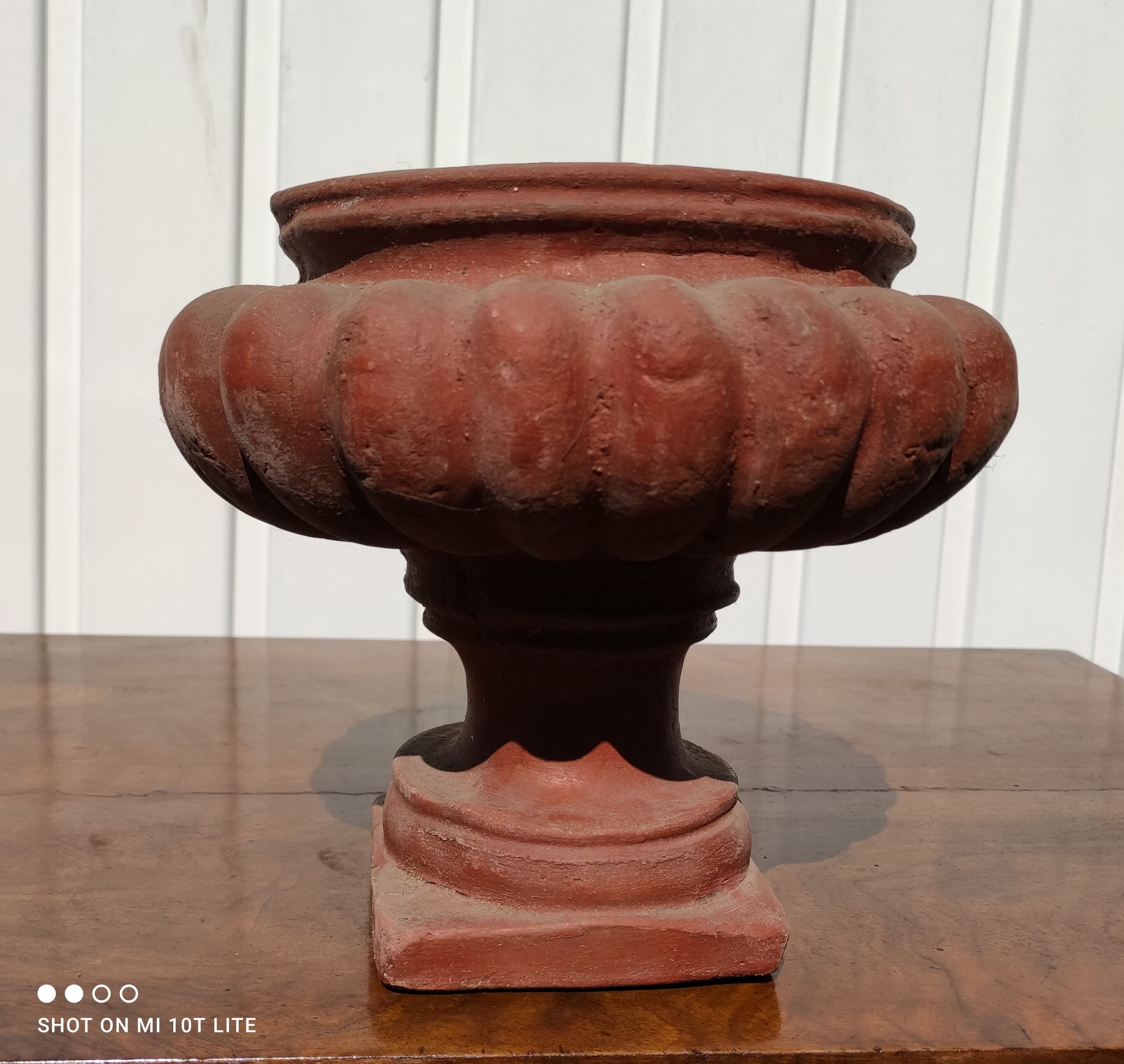 Médici pot in terracotta