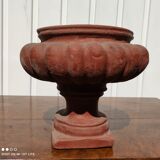 Médici pot in terracotta