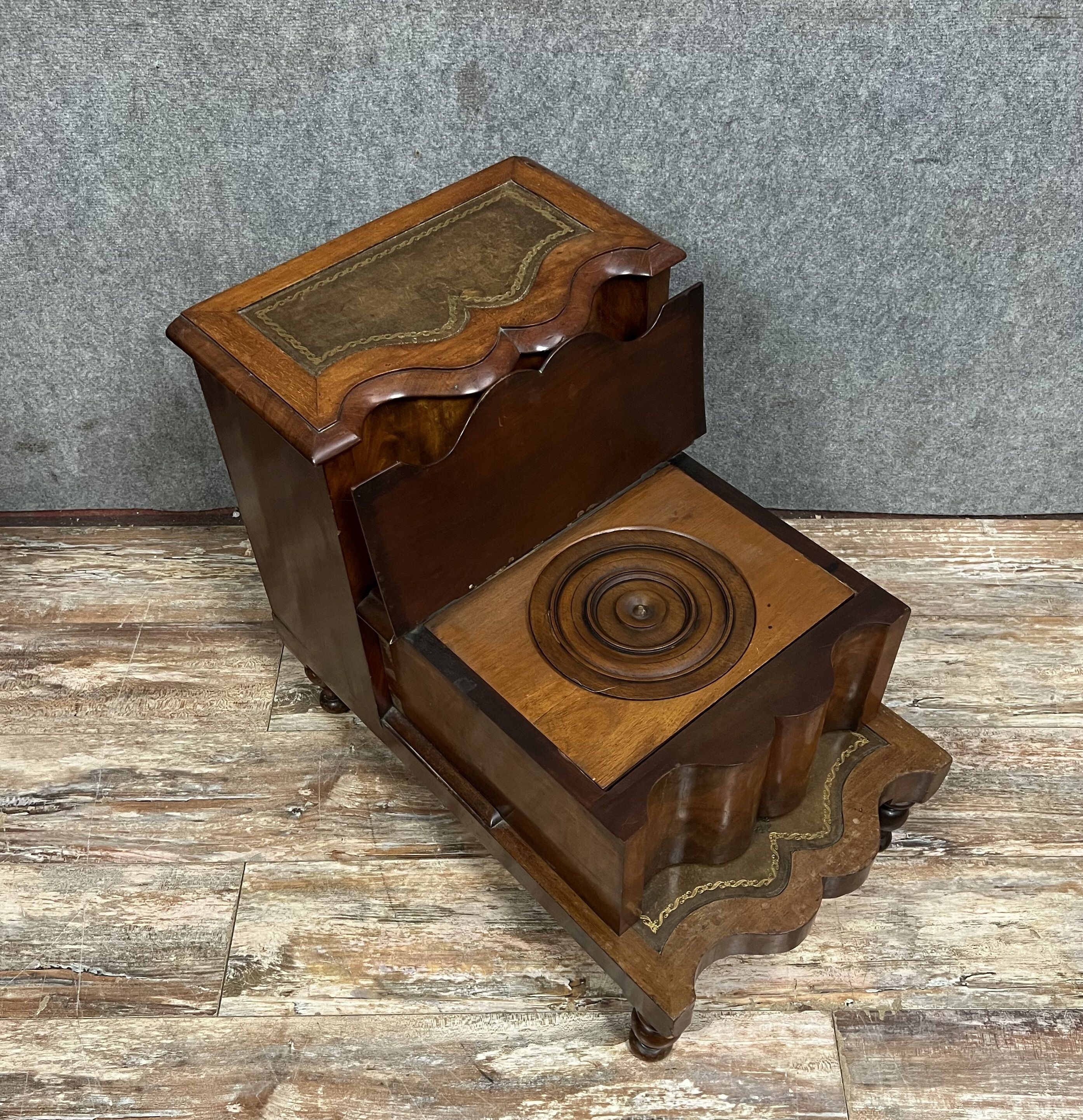 Escalier de bibliothéque avec fonction toilette dissimulée