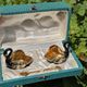Hand-painted Porcelain Black Swan Salt Cellars Set in original box
