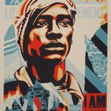 Shepard Fairey (Obey Giant): Voting Rights Are Human Rights - Signed lithograph