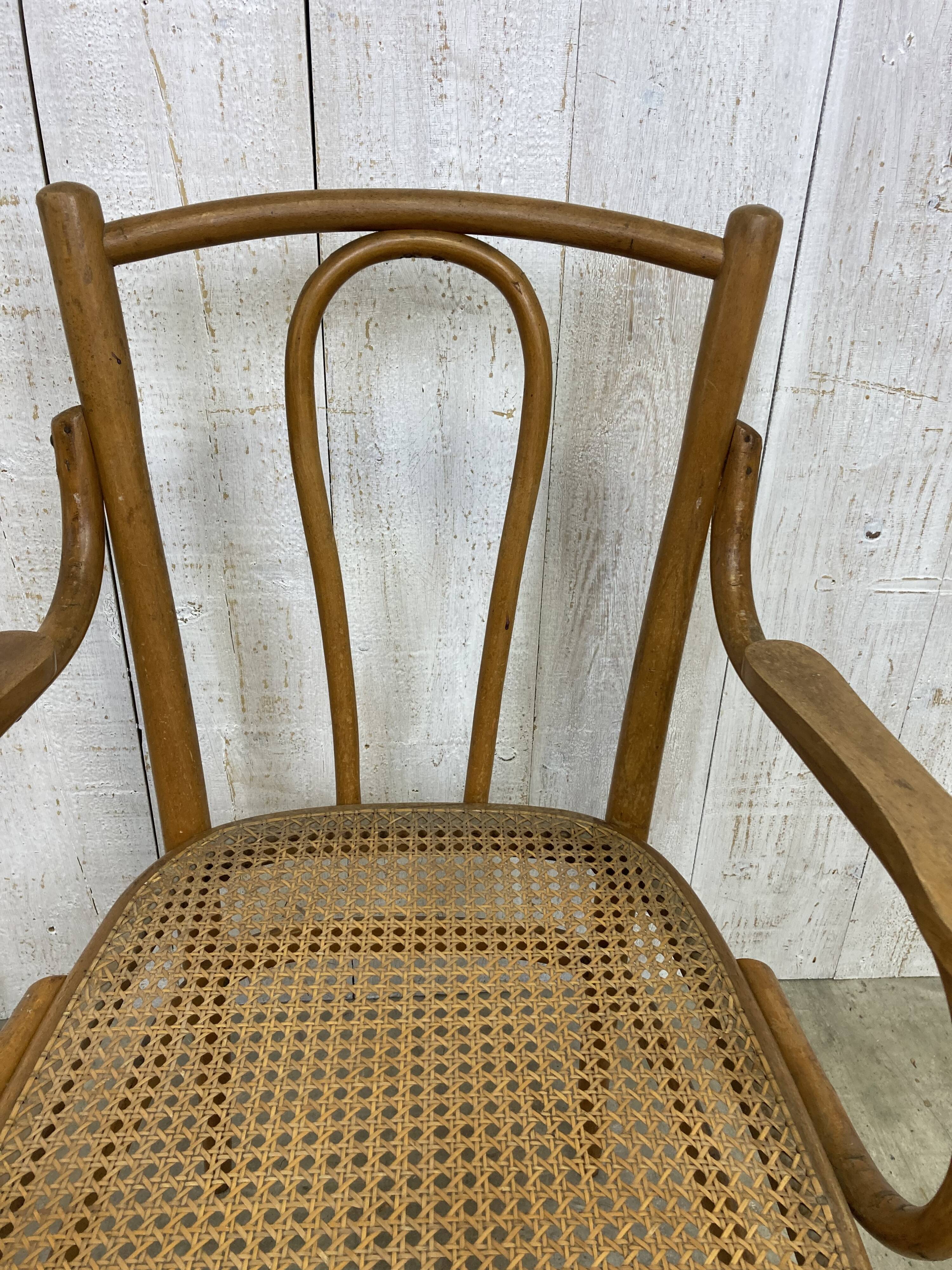 Curved wood and cane armchair