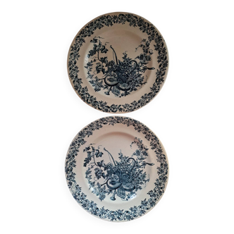 Duo of ironstone plates