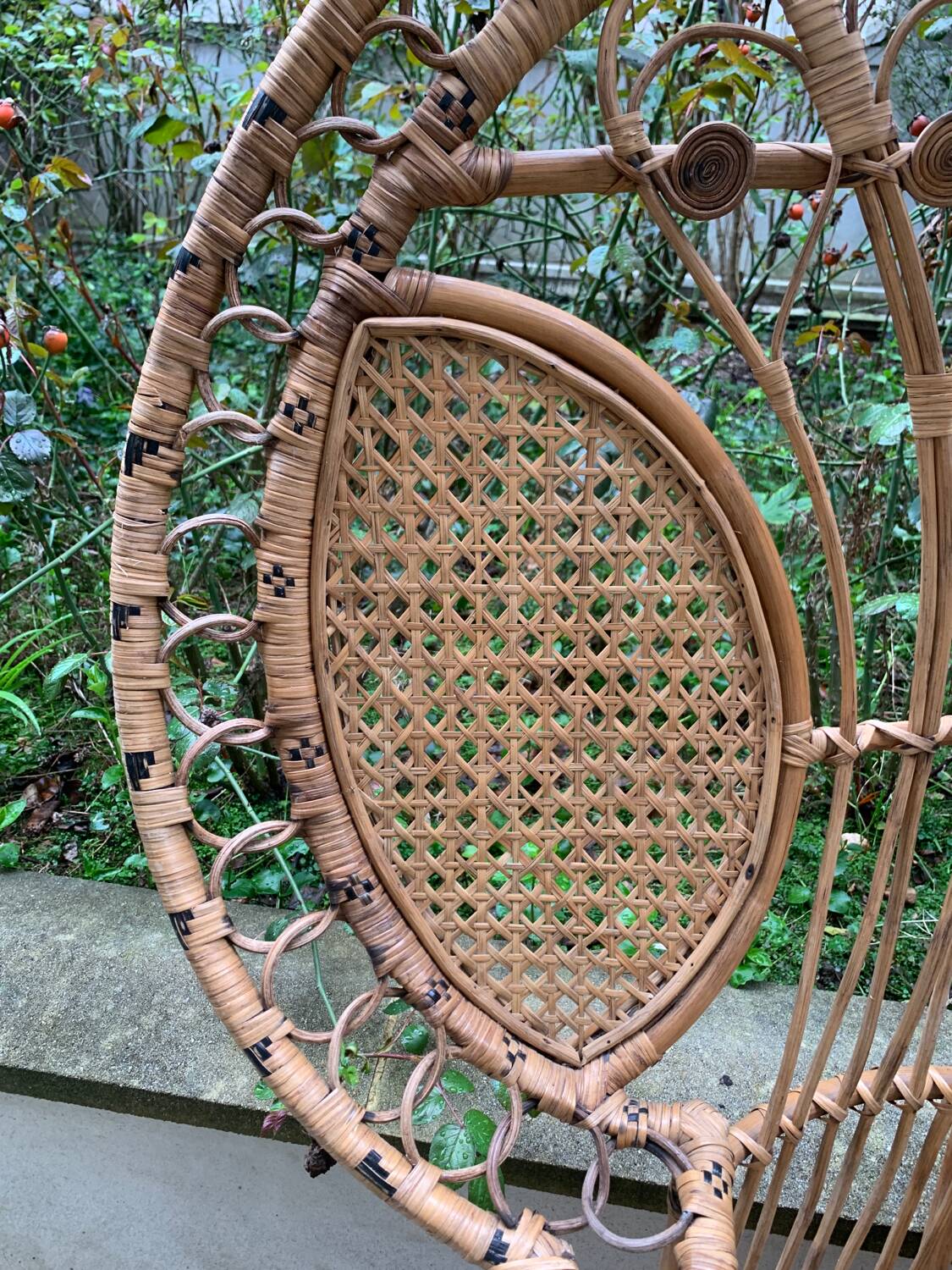 Peacock rattan armchair