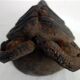 Lot de 3 masques Himalayens vintage