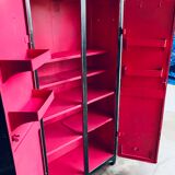 Fuchsia interior workshop cabinet
