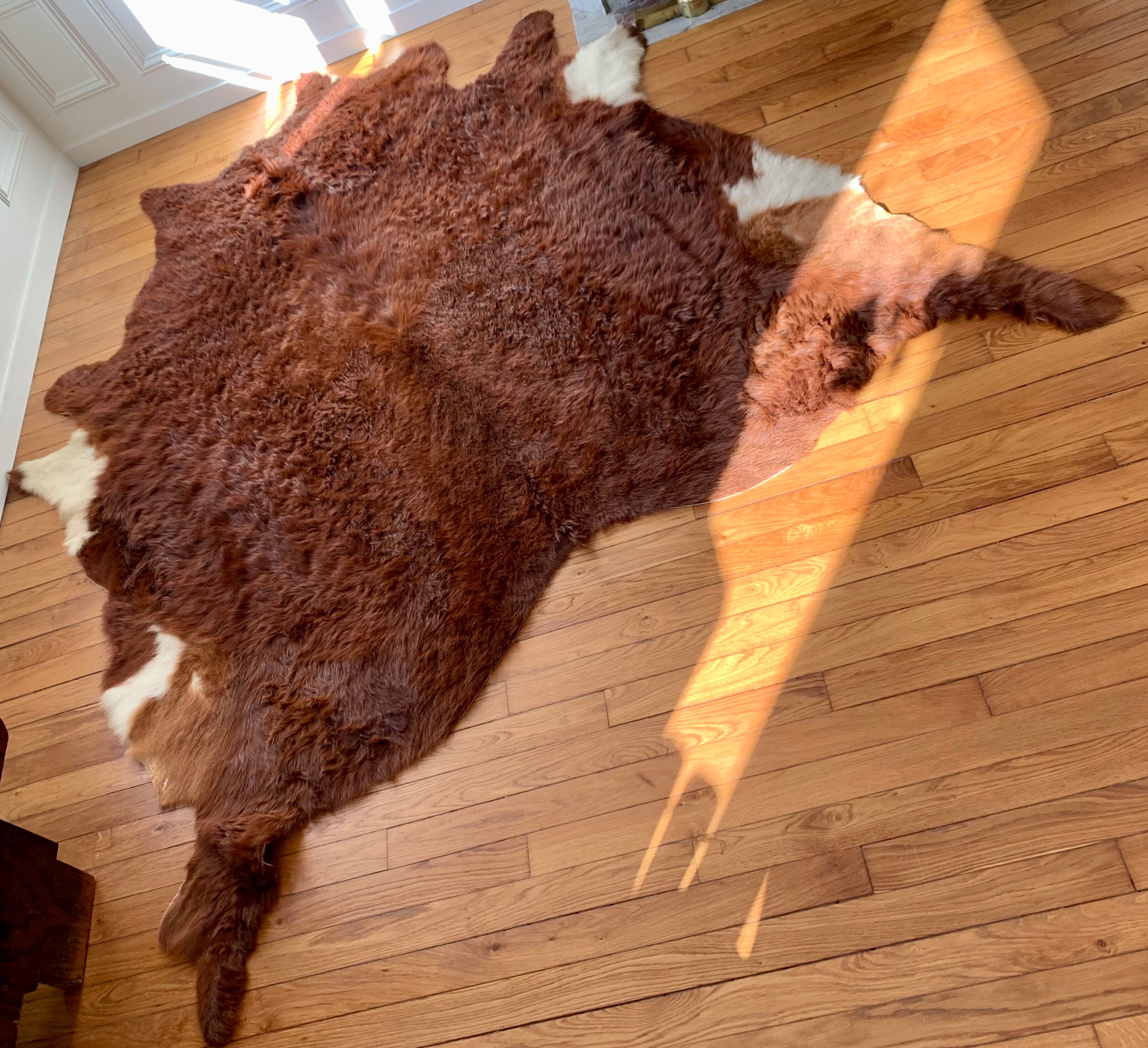 Large vintage natural cowhide carpet 195x188cm