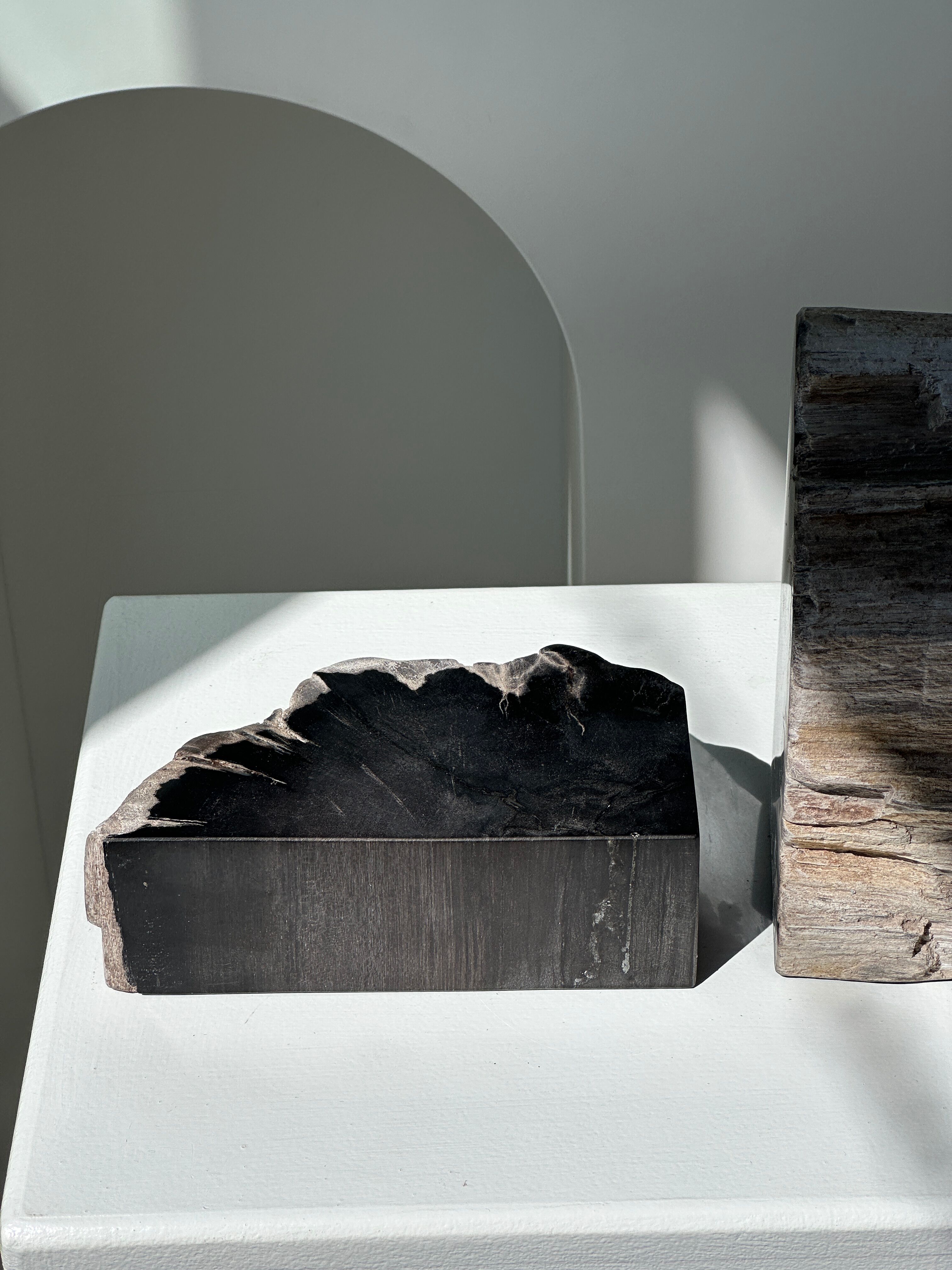 Black petrified wood bookend H17 L17 P6