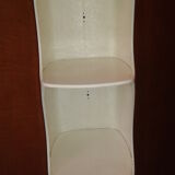 Shelf Rodier in resin and fiber design Valeric Doubroucinskis 1960