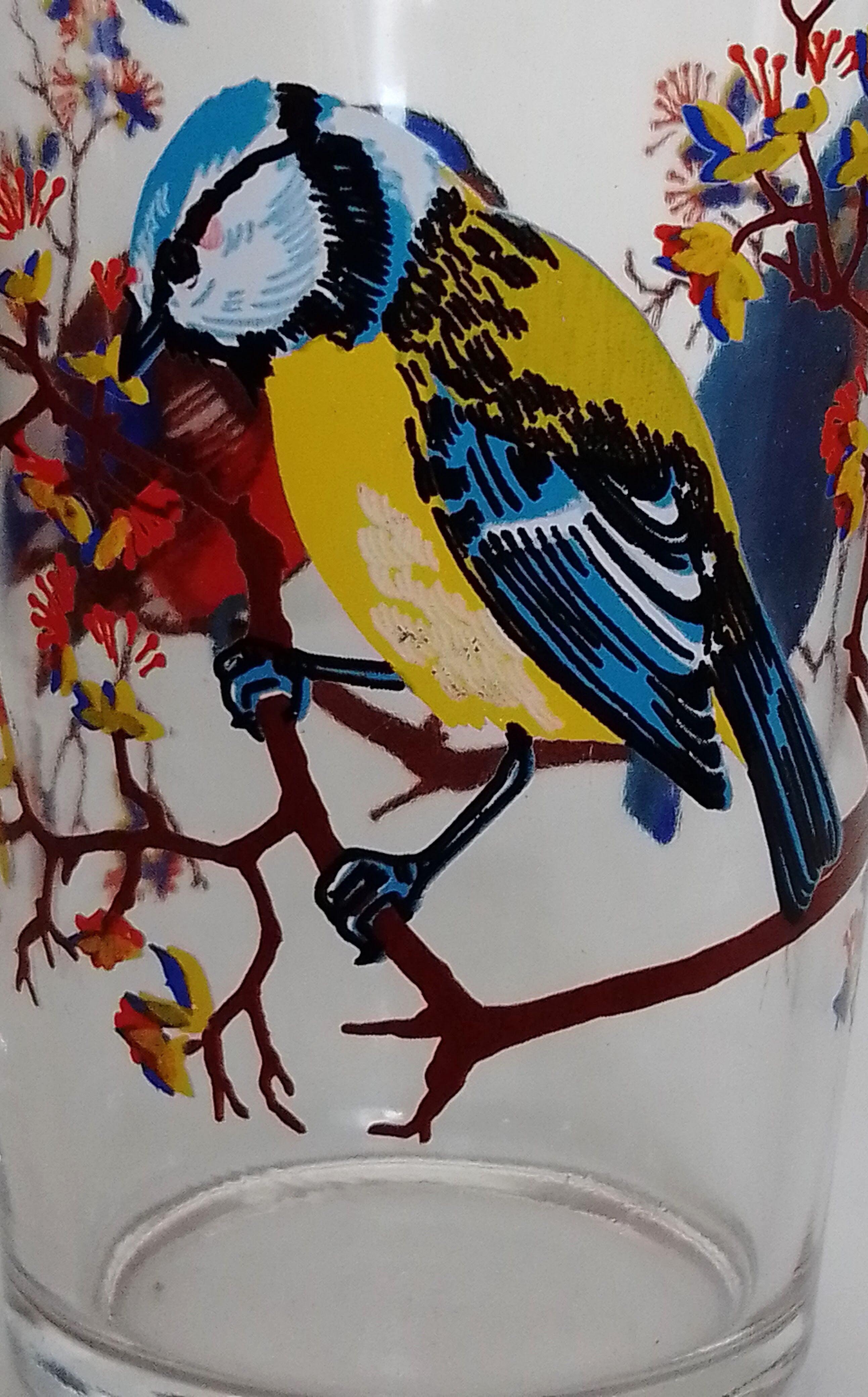 Set of 6 orangeade glasses seriographed "Birds"