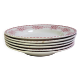 Lot de 6 assiettes à soupe de St amand modèle Champagne, terre de fer