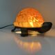 Lampe tortue bronze et pâte de verre