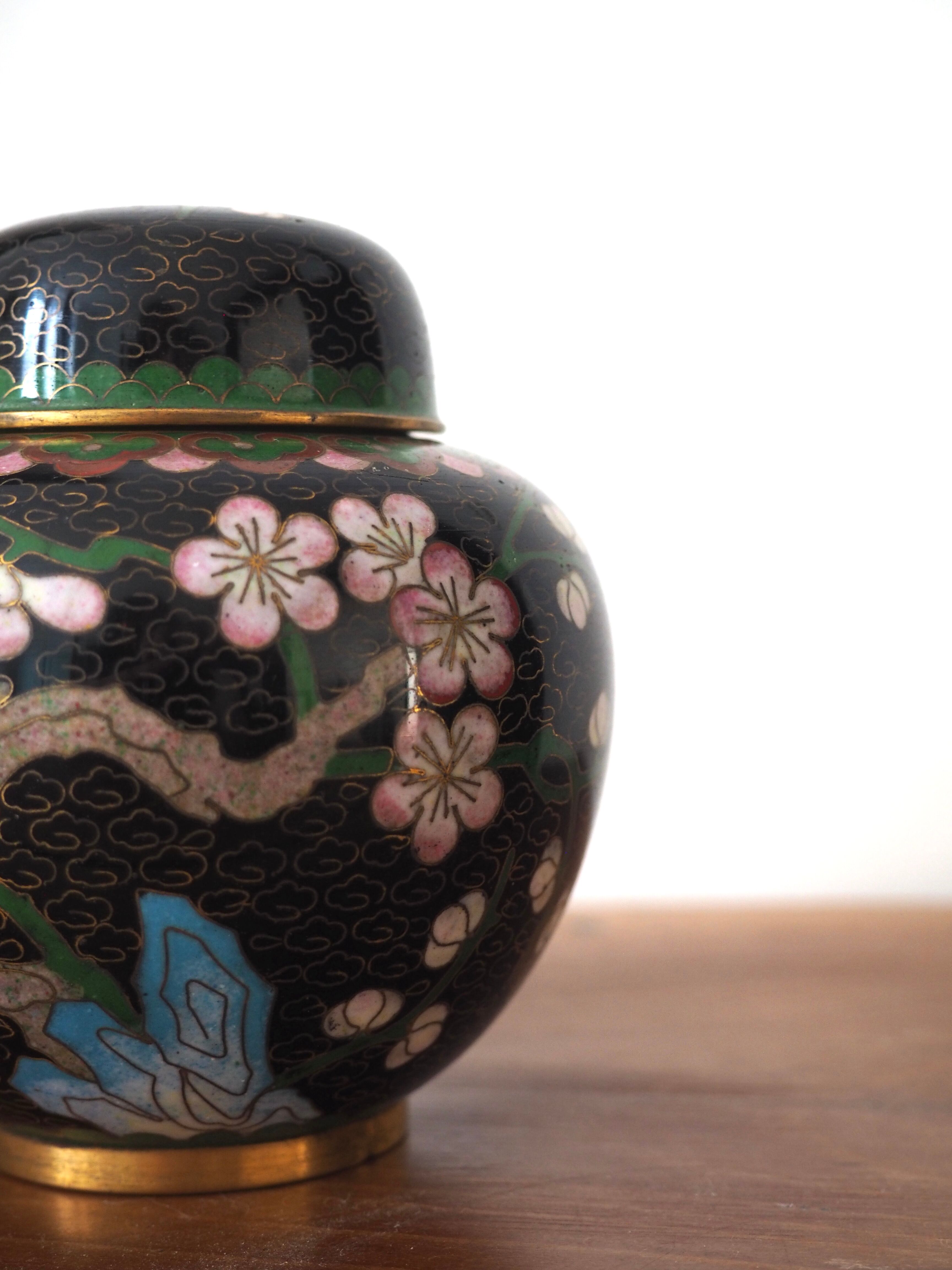 Ginger pot
