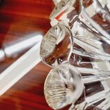 Empty pocket flower of Passifllore