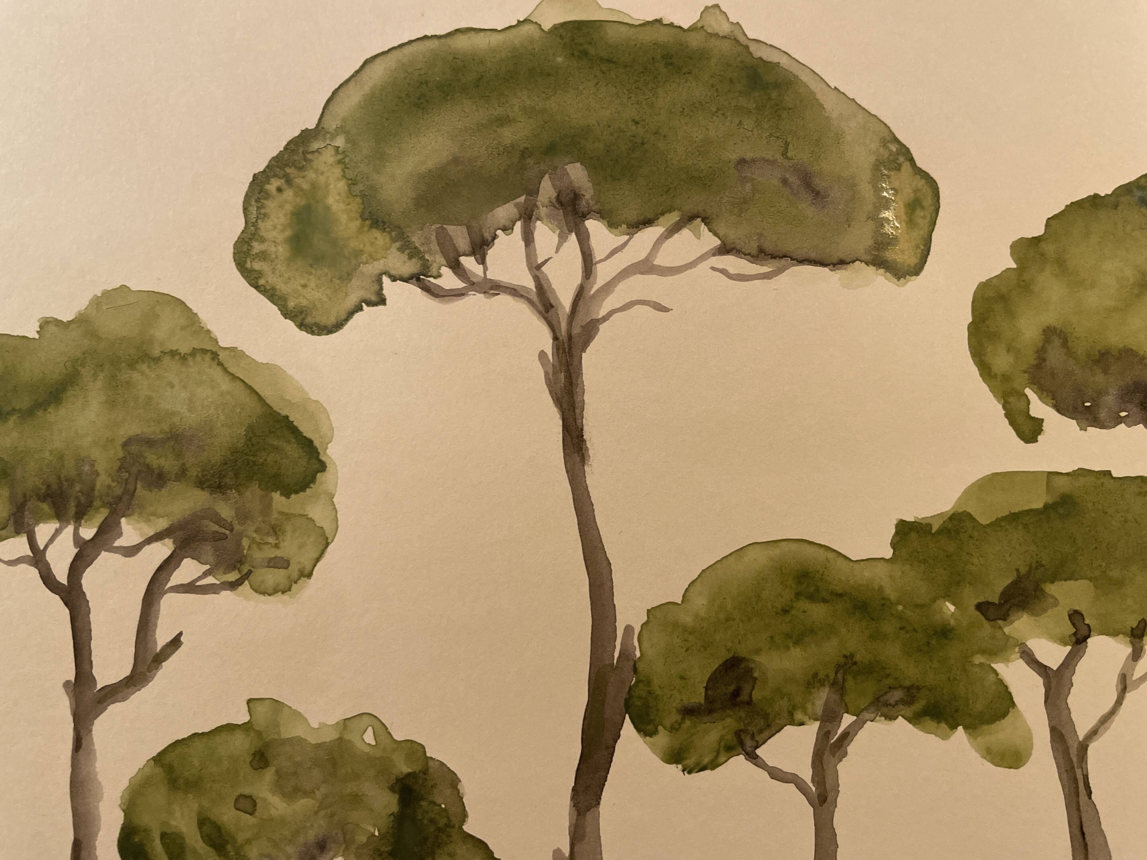Tableau signé aquarelle « pinède du Lubéron »