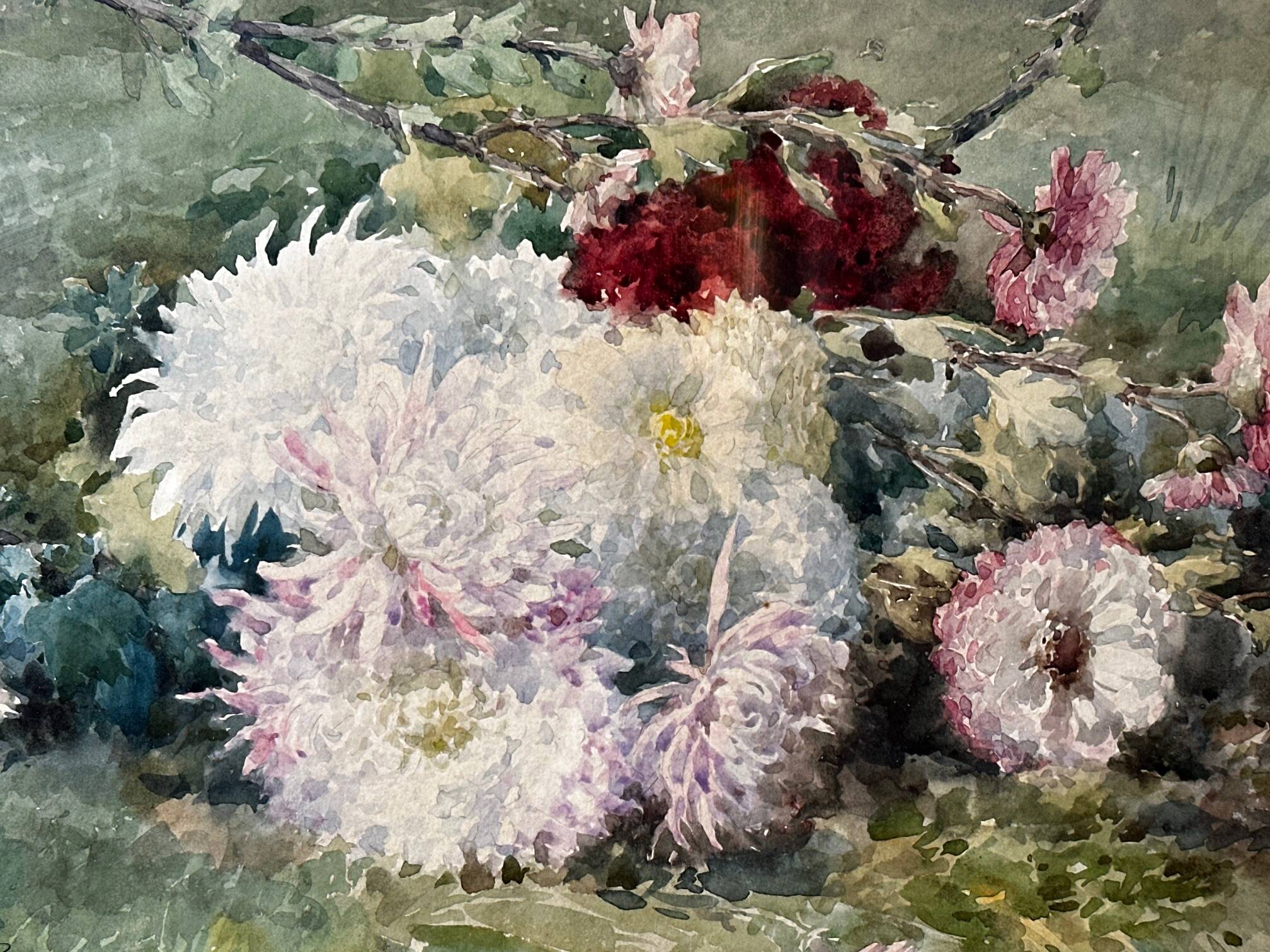 Aquarelle de François Rivoire