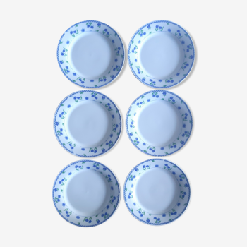 6 plates