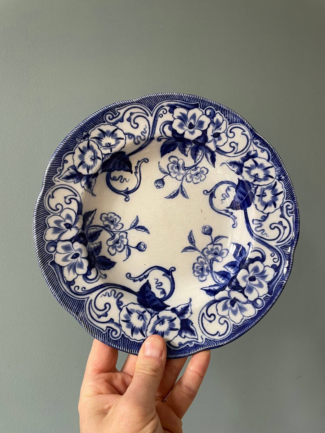 Series of 9 Creil Montereau plates, Flora model