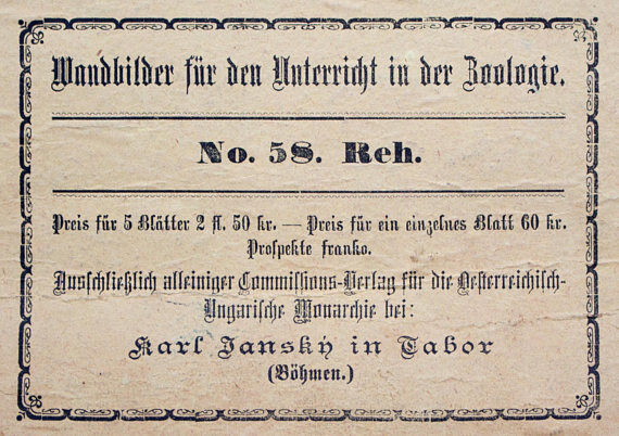 Educational poster, deer, lithograph, Karl Jansky, Böhmen, 1897