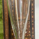 Lot de 4 Verres à absinthe