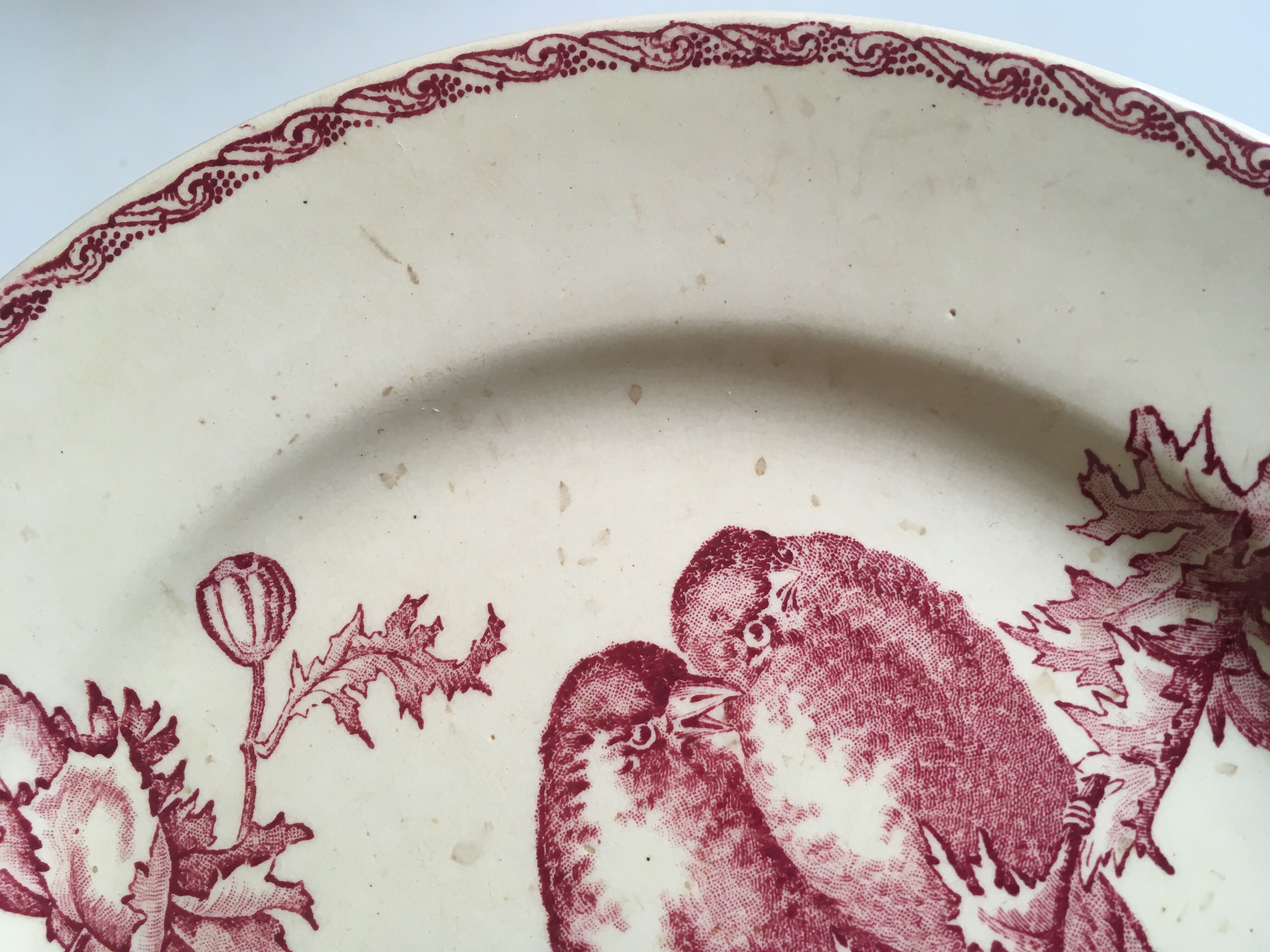 Set de 9 assiettes en faience 19e oiseaux Longwy