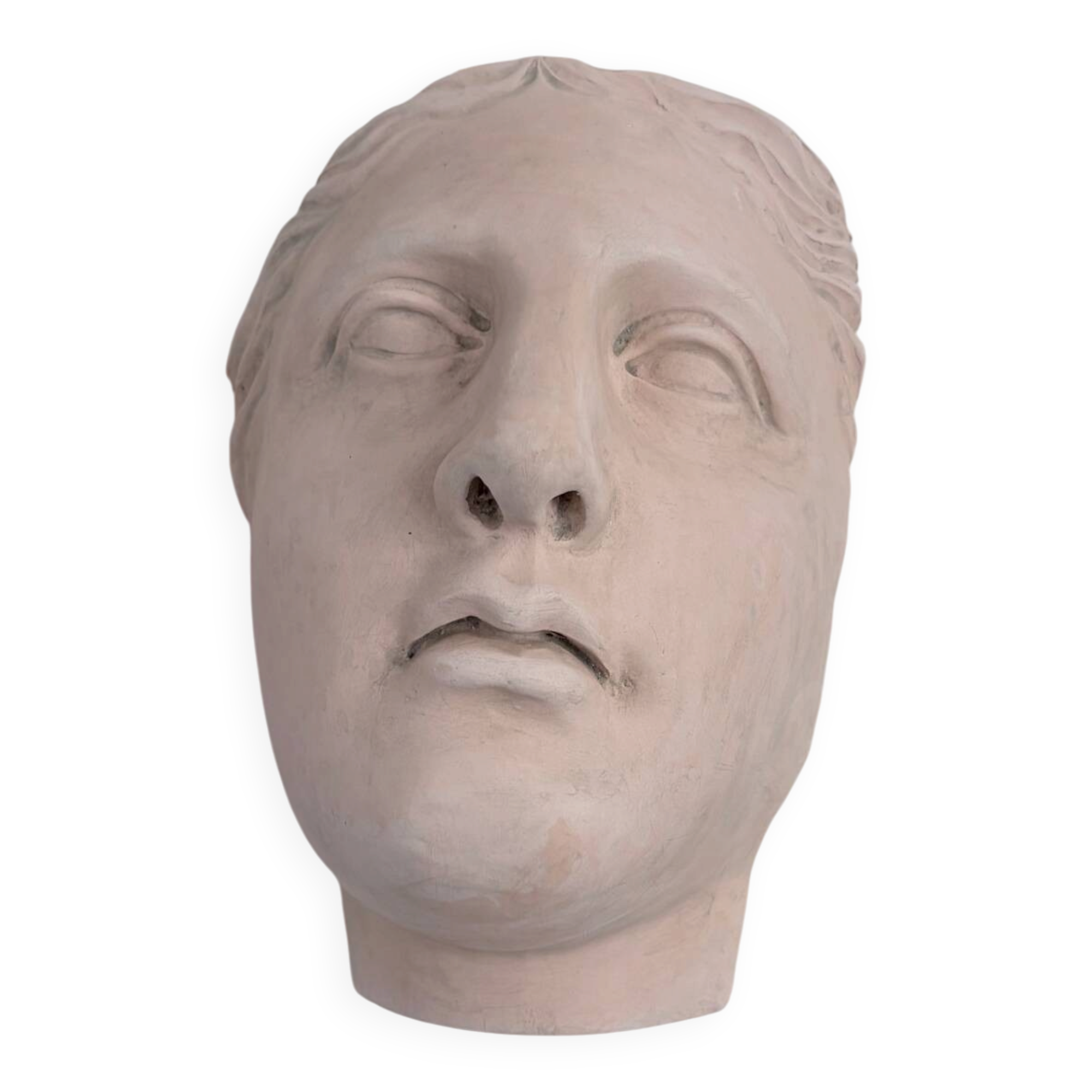 Wall sculpture of the face of the Venus de Milo in plaster.