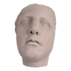 Wall sculpture of the face of the Venus de Milo in plaster.