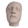 Wall sculpture of the face of the Venus de Milo in plaster.