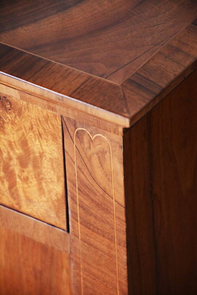 Biedermeier Cabinet in Walnut, Czech, 1840s