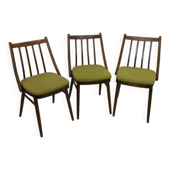 SET 3pcs Vintage MIER TOPOLCANY Antonin Suman Dining Wood Chair 60s Czechoslovakia
