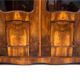 Library - antique display case, Northern Europe, around 1890.