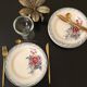 Set de 6 assiettes Digoin Sarreguemines modèle Olga