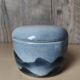 Blue covered pot with virebent