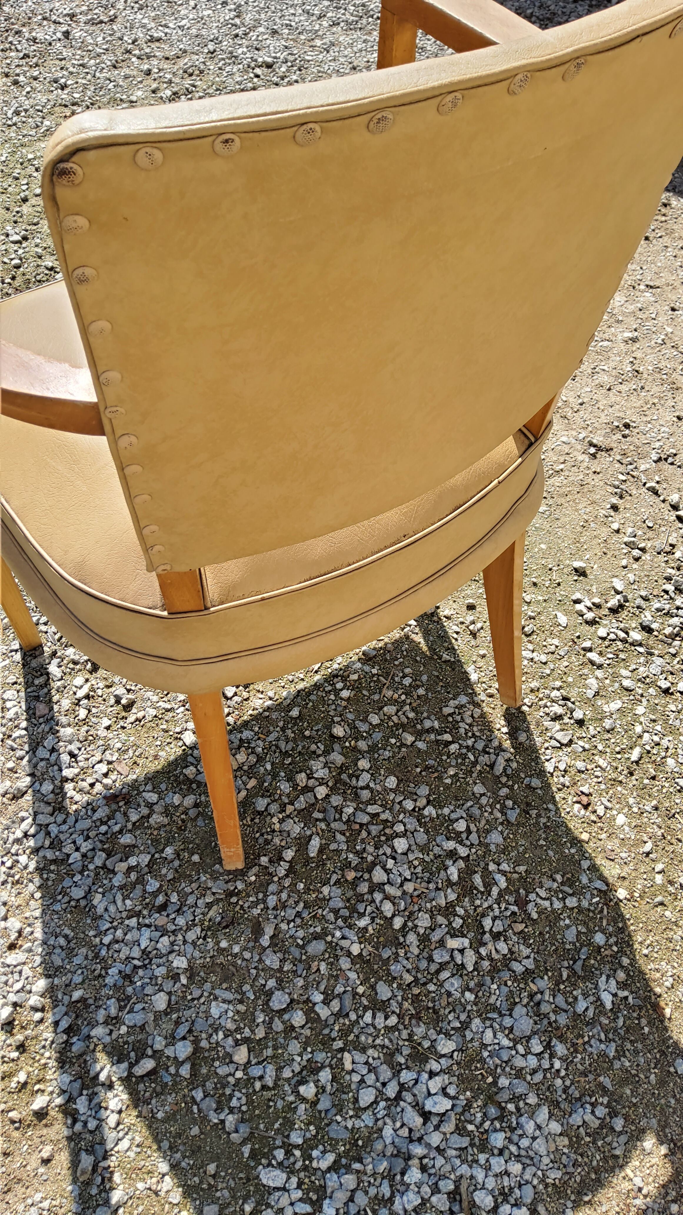 Office armchair from the 50s in beech tinted sycamore and moleskine