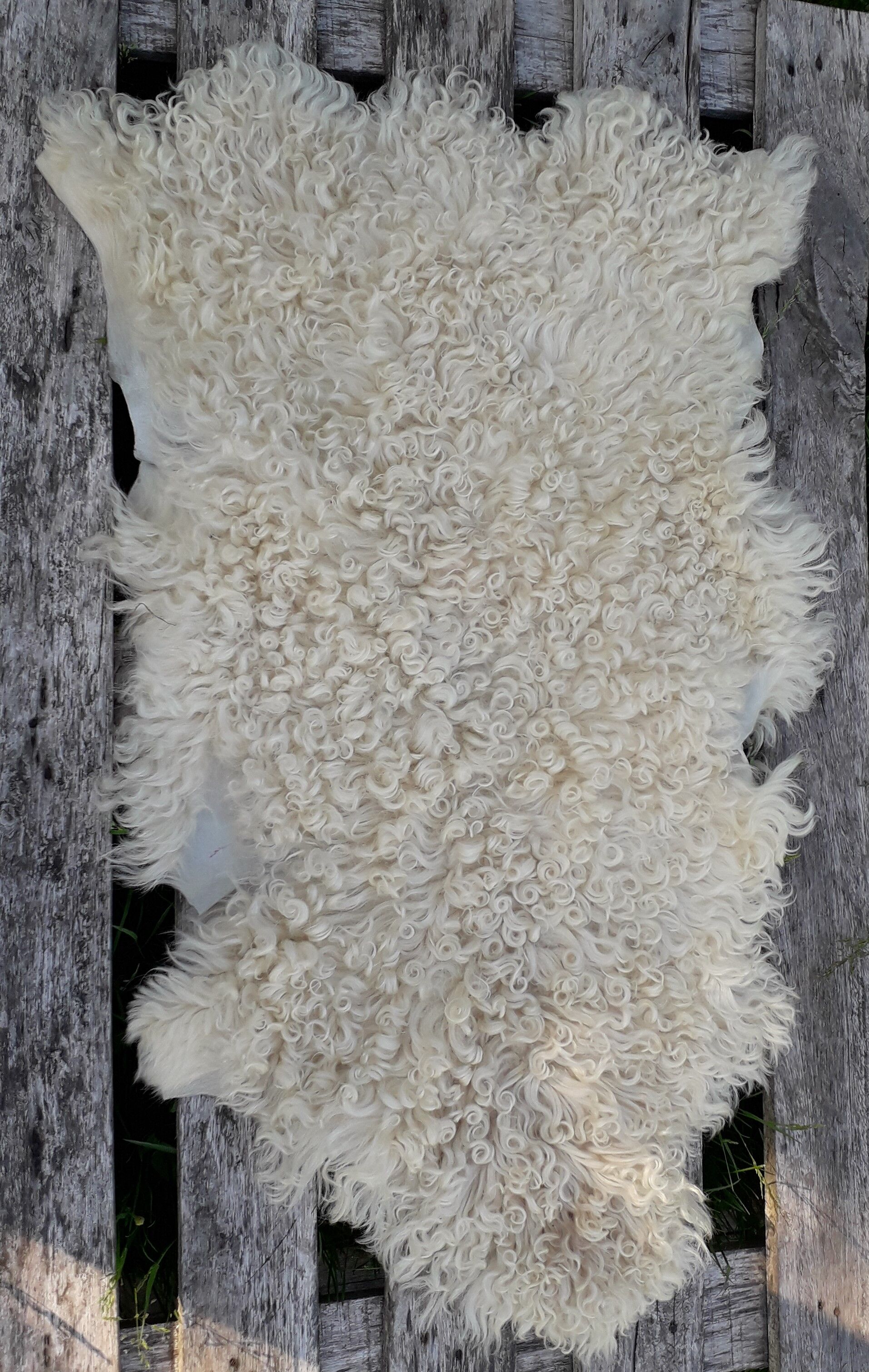Sheepskin 85x55 cm