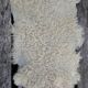 Sheepskin 85x55 cm