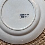 Plates Choisy Le Roi 19th in iron earth, country décor