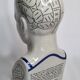 Phrenology bust after d'après L.N. Fowler