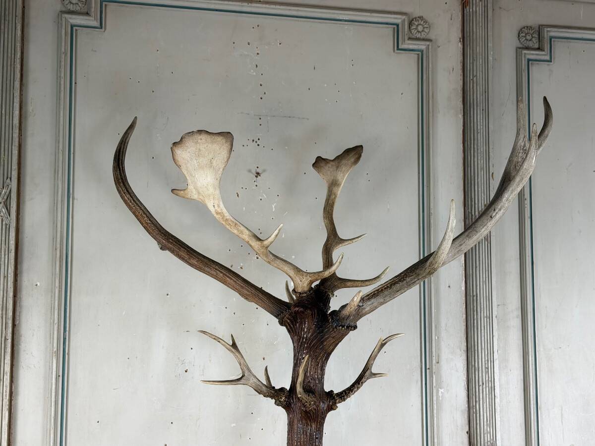 Carved wooden coat rack from the Black Forest, circa 1900.