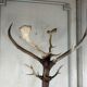 Carved wooden coat rack from the Black Forest, circa 1900.