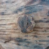 Brutalist wooden coat rack