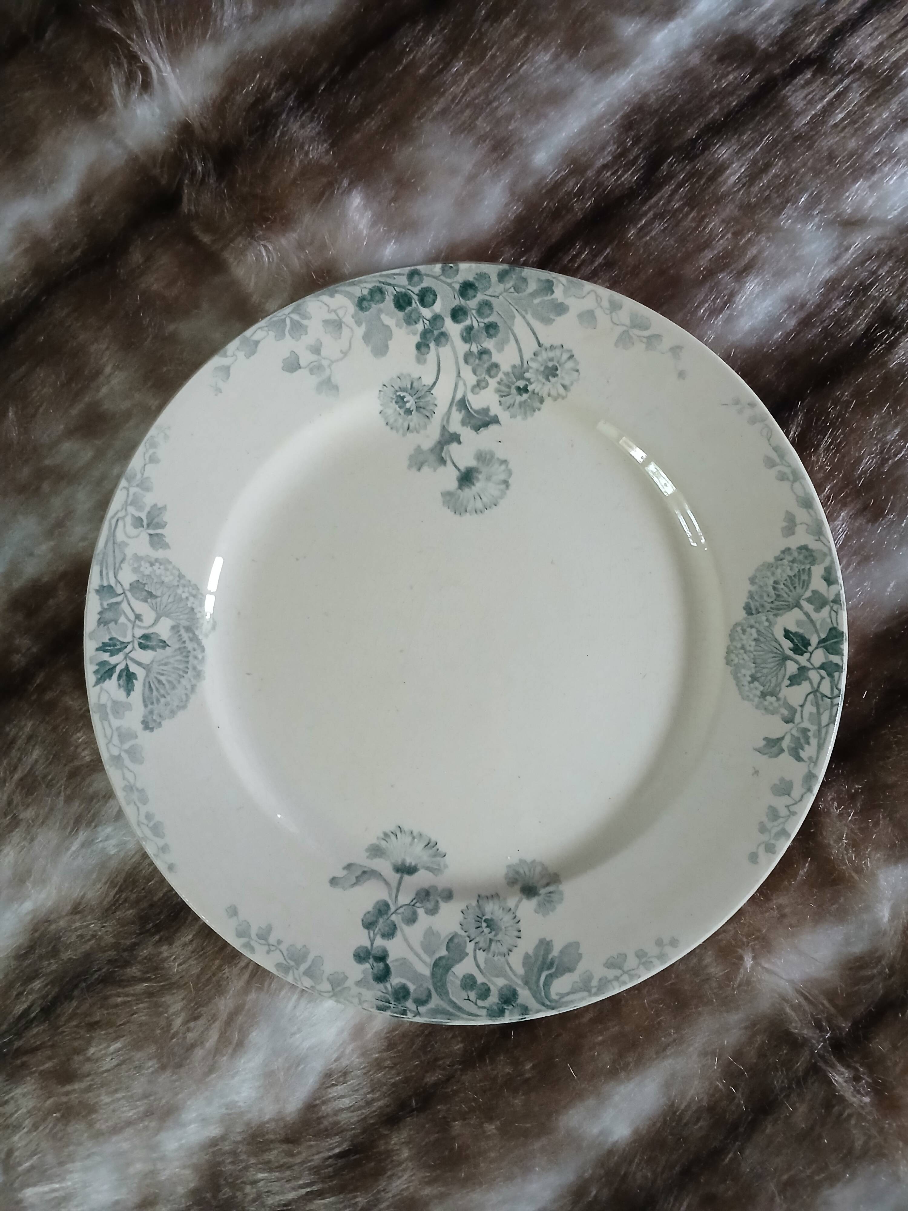 10 assiettes plates anciennes en Terre de fer