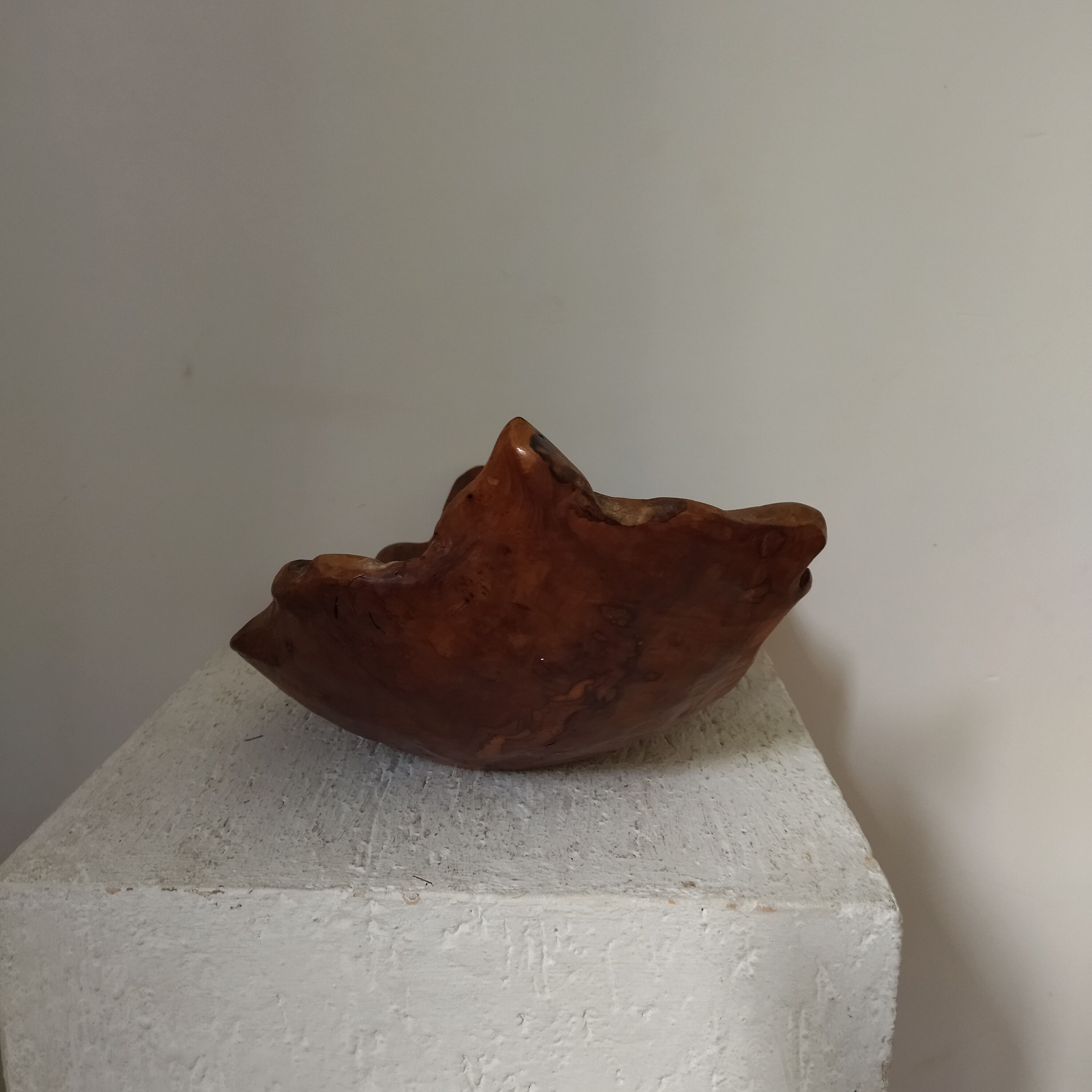 Brutalist monoxyl wood cutting 50s