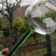 Set of 10 Alsatian white wine glasses in engraved glass.