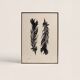 Tirage d'art Plumes Noires 50x70 par  Eawy